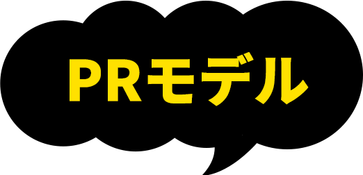 PRモデル