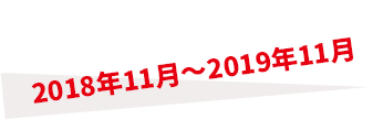 2018年11月～2019年11月