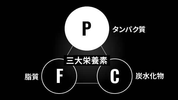 三大栄養素　脂質　タンパク質　炭水化物