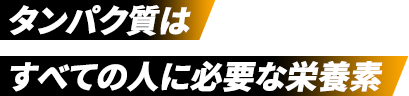 タンパク質はすべての人に必要な栄養素