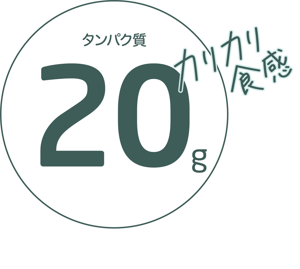 タンパク質20g カリカリ食感