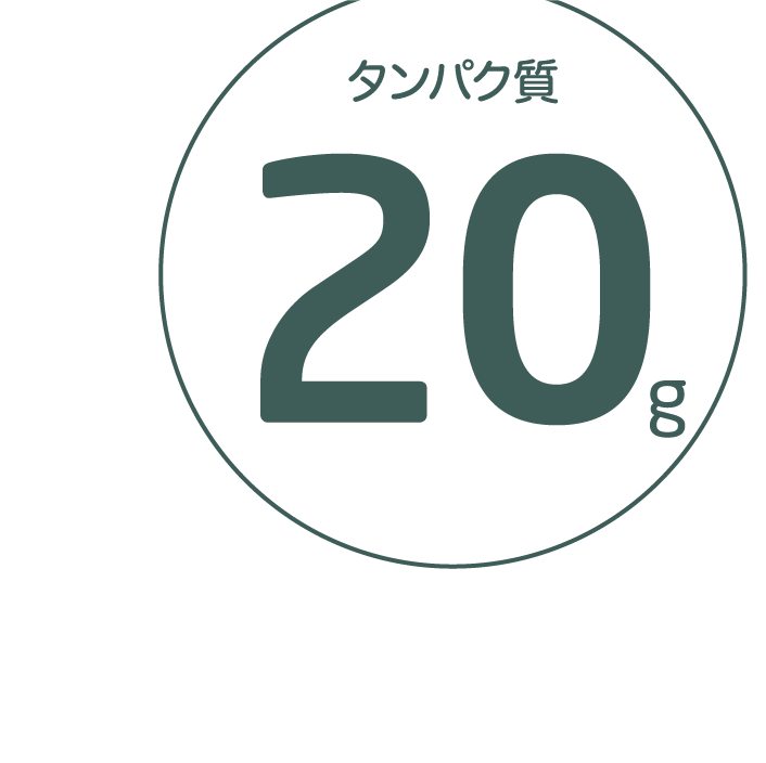タンパク質20g