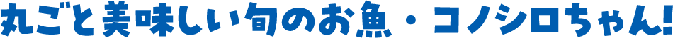 丸ごと美味しい旬のお魚・コノシロちゃん！