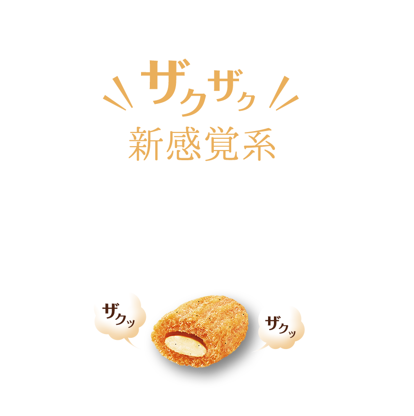 ザクザク 新感覚系 ザクザクッとしたパフ生地の中にはなめらかなチョコレート!今までにない食感を楽しめる新感覚系チョコレートスナックです!