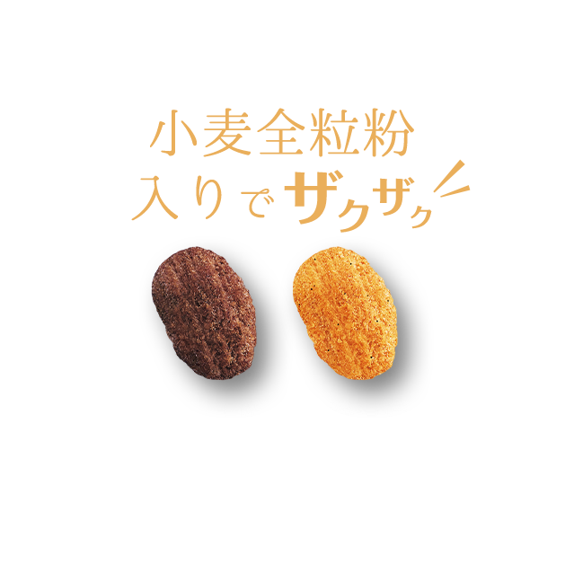 小麦全粒粉入りでザクザク ガーナ産カカオ使用 北海道産バター配合
