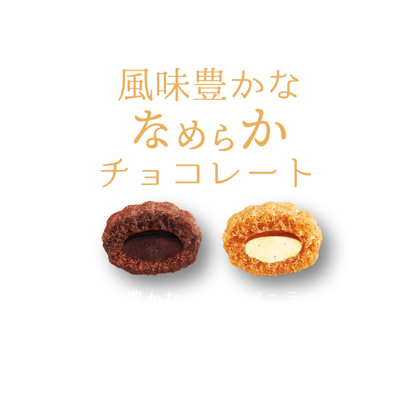 風味豊かななめらかチョコレート 豊かなカカオの香り バニラーシード入り