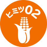 sakumaro(プロフご確認ください) Amazon.co.jp: 【公式】くちどけ小路 サクまろチーズ味 52g×12袋