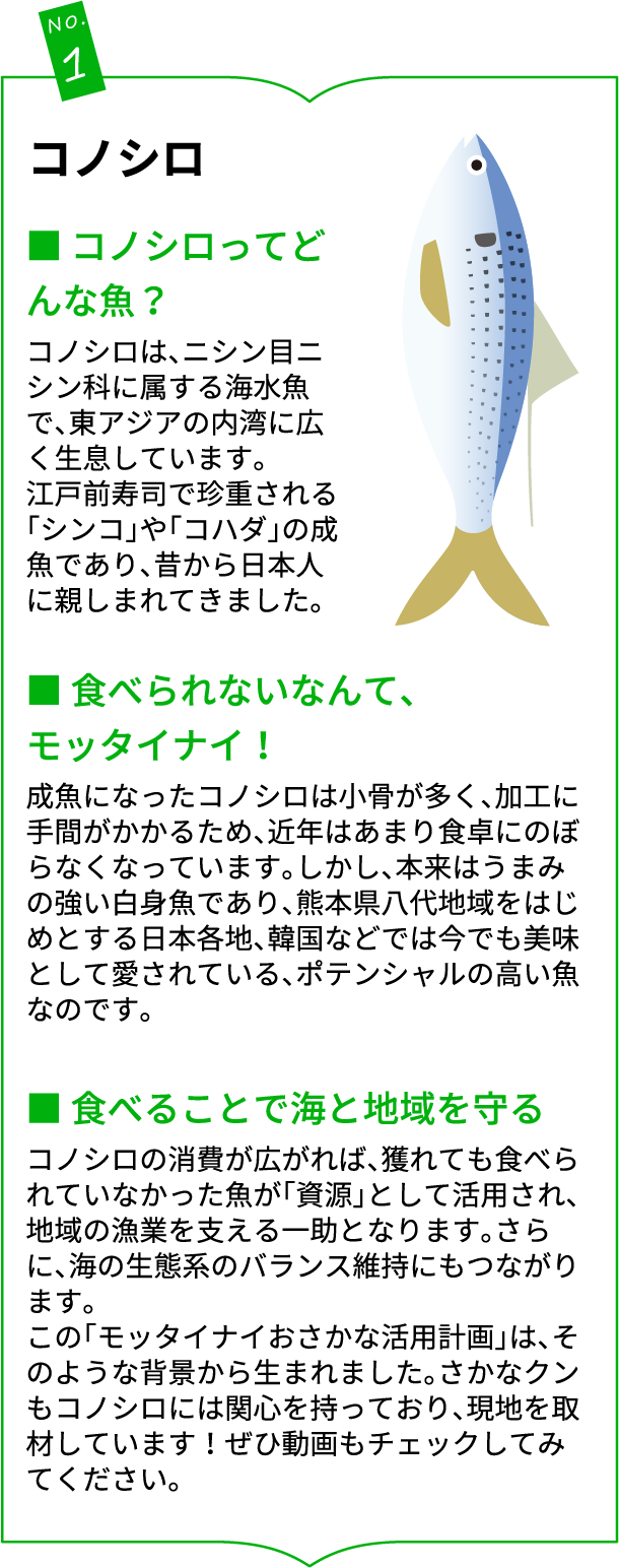 さかなのスナック特設ページ | おやつカンパニー(-^〇^-)／